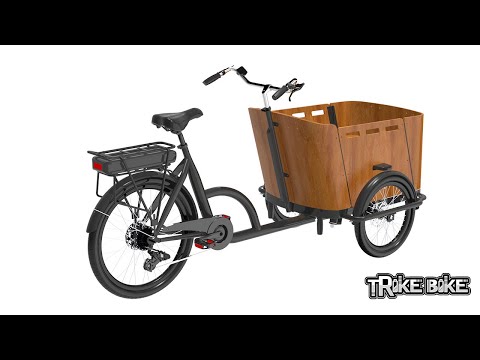 Cargo Trike Bike Assembly