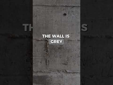 El truco para aprender los colores (con la técnica correcta) 🎨⁣