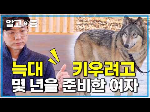 "세나개 출연자 중 산책 1위 입니다" 설채현 선생님의 인정을 받은 준비가 된 보호자 울프독을 키우기 위해 수 년간을 준비했다｜세상에 나쁜 개는 없다｜알고e즘