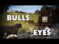 Branch Line Engines Part 3 Bulls Eyes