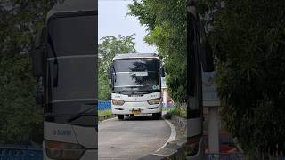 Download lagu naik bus damri saja #bus #telolet #busmania #basuri #damri mp3 Download lagu naik bus damri saja #bus #telolet #busmania #basuri #damri mp3