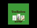 ZZ Top - Have You Heard