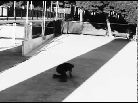 Cristian Vannella - Trash Bastards bootleg video part