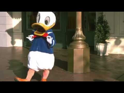 The evolution of￼ Donald Duck costumes from Disney theme parks Episode 2
