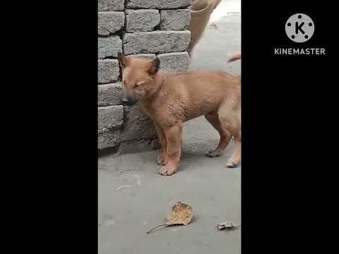 Sadhu Ki Masti time munu ke sath....❤️