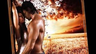 David  DeMaría, Amo sin decir te quiero