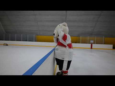 Erste 3x3-as Felnőtt Bajnokság és MEFOB