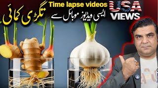How To Create vegetables germination time lapse videos with Ai 🔥