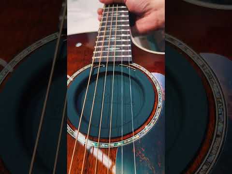 Пример установки заглушки Ernie Ball