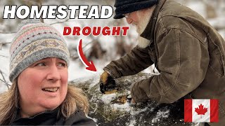 Homesteading Without Water Changed Everything | Just Another Homestead Challenge