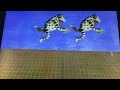 Sesame Street Frogs Go Up And Down