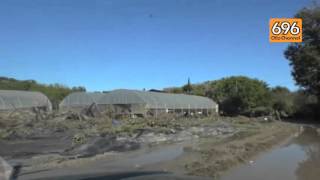 alluvione-la-disperazione-di-un-imprenditrice-di-pantano