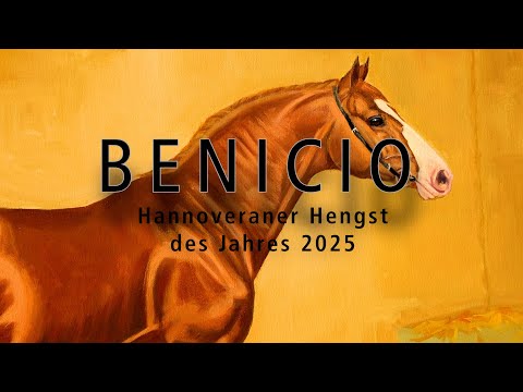 Hengst des Jahres 2025: Benicio