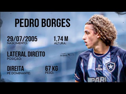 Highlights Pedro Borges (2024)