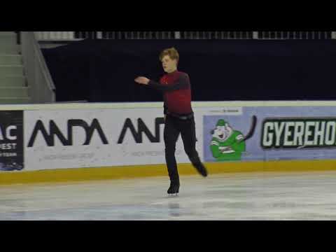 2017 Santa Claus Cup : Daniel SAPOZNIKOV(GER) - FS JUNIOR MEN, Short program