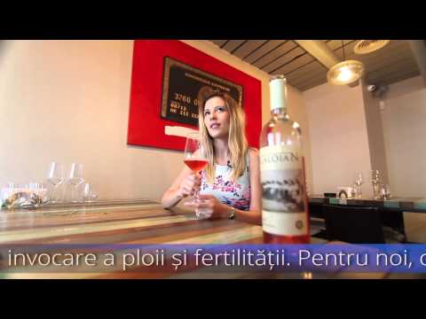 Trend Rose 2015 - Caloian Rose