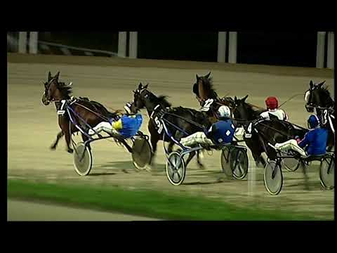 Napoli Trotto 28/11/2021 - 7ª corsa