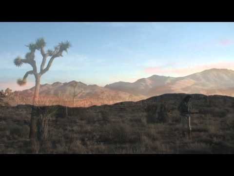 PT & the singing bush