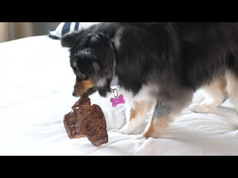YouTube video about: Are lamb lung treats good for dogs?