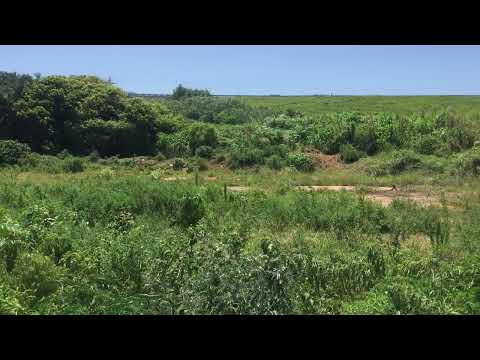 LAND OF YOU DREAMS For Sale at UMGABABA Station