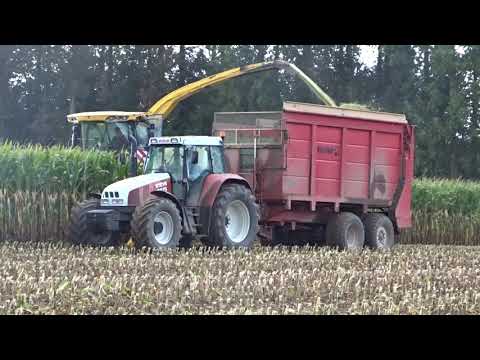 Krick - Dewulf: Mais hakselen.