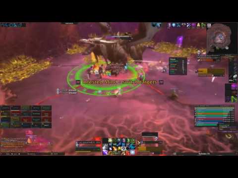 ~Indulge~ Mythic Nythendra Kill