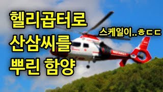 헬리곱터로 산삼씨를 뿌린 사건