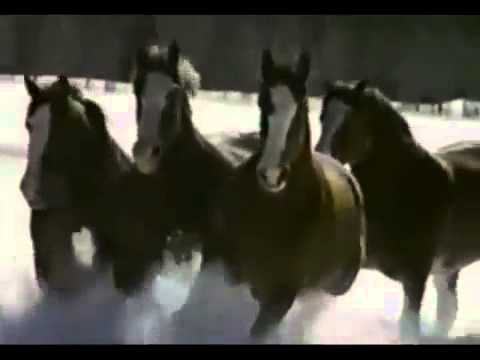 Budweiser Super Bowl XXVI ad  Clydesdales Winter 1992153