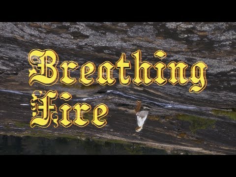 Pip the Pansy - Breathing Fire