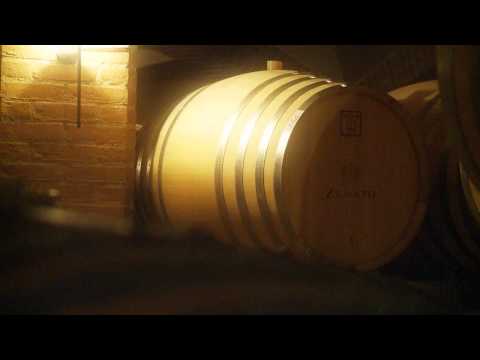 Zenato | Nadia Zenato Presents: Amarone