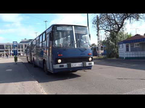 Ikarus 280 BP1990 244 Örs v t Budapest 10-14k 2019 máj17 So 00580