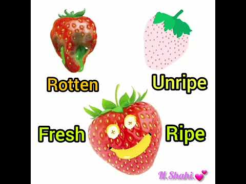 Rotten, Unripe, Ripe.🍓🍒🍎🍇🍉