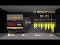 A4 Enrico Rava & Mario Rusca: Chromosome Blues