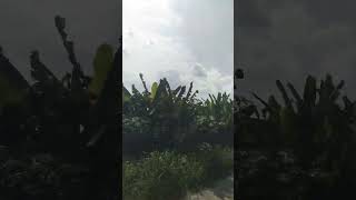 Download lagu P3nj3mput4n c0in 4ngklung 8k3ping dil 400jt.#fypviral #funny #money mp3