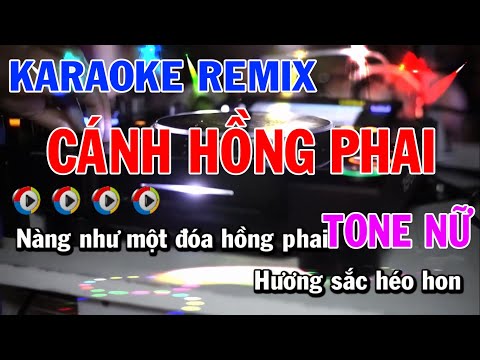 Cánh Hồng Phai EDM Remix Karaoke | Tone Nữ