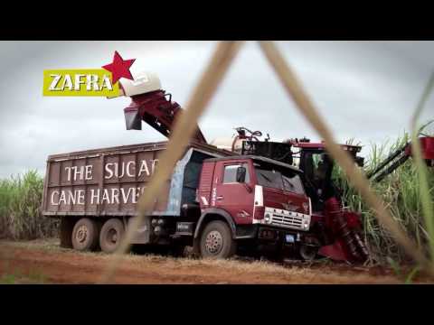 Havana Club 3 Años - How It's Made
