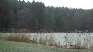 preview picture of video 'Holzweiher 2008-12-29'