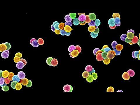 Cefpodoxime proxetil 50mg (dry syrup) with wfi, oral suspens...