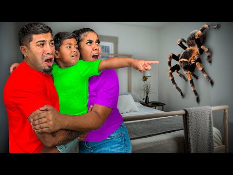 Zakyius Found A GIANT TARANTULA In Our Home…