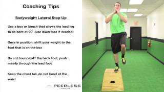 314. Bodyweight Lateral Step Up