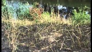 Жемчужина земли Белорусской часть 1