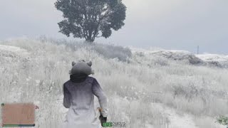 Grand Theft Auto V_fall