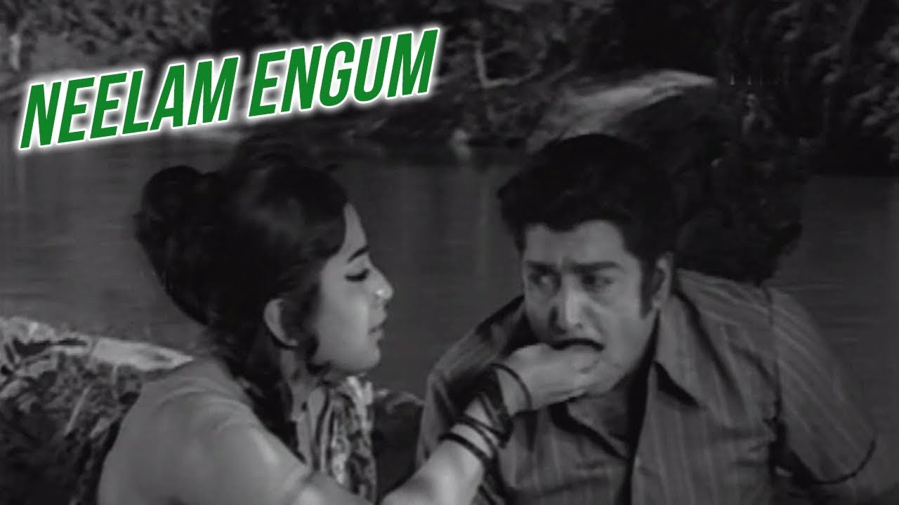 Nilamengum Neerodi Song Lyrics | Sontham(1973) | M. S. Viswanathan