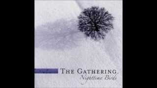 The Gathering - Kevin&#39;s Telescope
