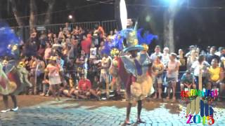 preview picture of video 'Carnaval 2015 em Cataguases - Desfile da União dos Bairros - Segunda (16/02/2015)'