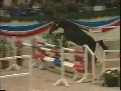 Casino Royale - Holstein Licensing 2006