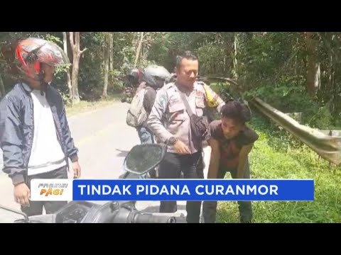 POLSEK LOA JANAN UNGKAP KASUS CURANMOR