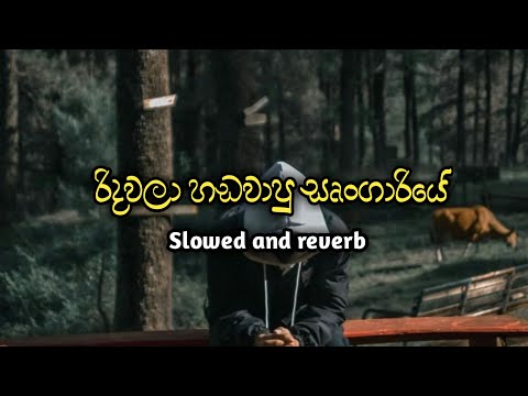 Ridawala hadawapu shungariye(Slowed+Reverb)