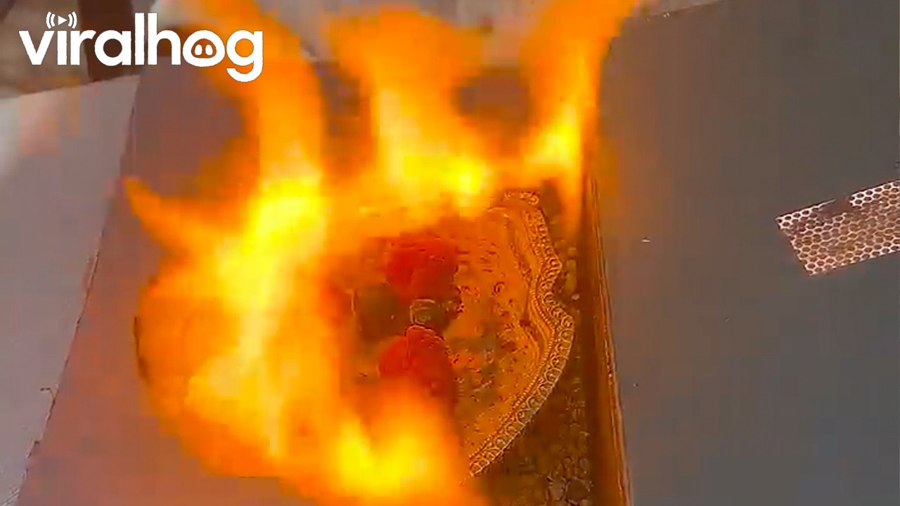 Flaming Book Hides Delicious Secret || ViralHog