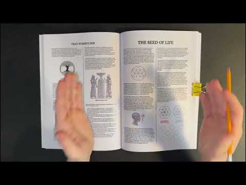 How the Seed of Life Reveals the 8 Laws That Govern Consciousness